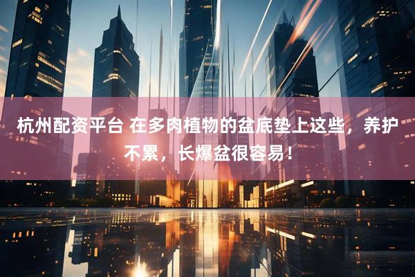 杭州配资平台 在多肉植物的盆底垫上这些，养护不累，长爆盆很容易！