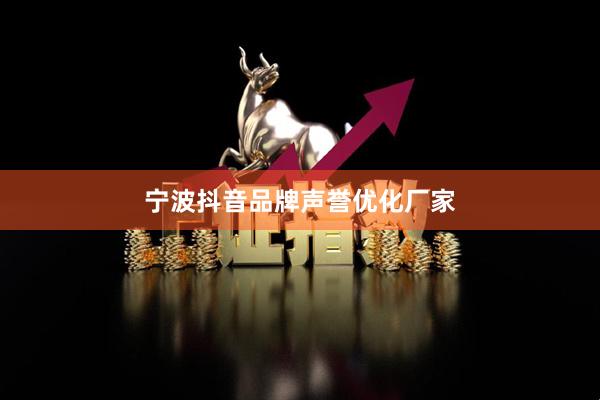 宁波抖音品牌声誉优化厂家