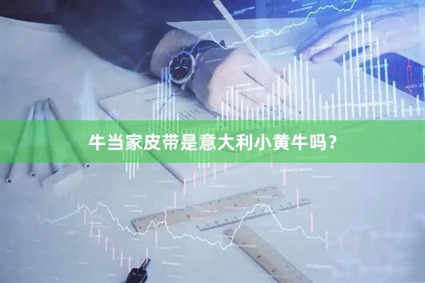 牛当家皮带是意大利小黄牛吗？