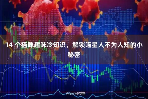 14 个猫咪趣味冷知识，解锁喵星人不为人知的小秘密