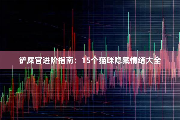 铲屎官进阶指南：15个猫咪隐藏情绪大全