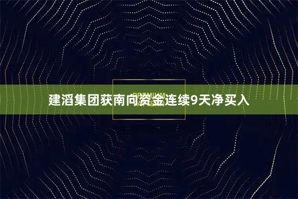建滔集团获南向资金连续9天净买入